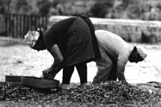 "Lavoratori a Matera" foto di Tano D'Amico