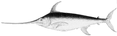 pescespada
