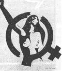 Image4.jpg (4802 bytes)