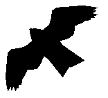 ado11-1.gif (577 bytes)