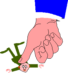 ado11-2.gif (3328 bytes)