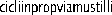 cicliinpropviamustilli