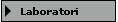 Laboratori