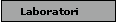 Laboratori