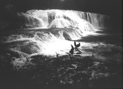 Agua Azul 1991