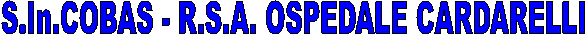 S.In.COBAS - R.S.A. OSPEDALE CARDARELLI 