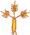 Il fiore del rifiuto