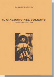 Immagine della copertina del libro