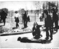 CLiCCA X VeDeRe L'iMMAGiNe ORiGiNALe