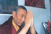 lama.gif (19240 byte)