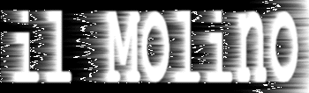 testa.GIF (10575 byte)