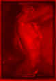 fotonew2copia.jpg (31147 byte)